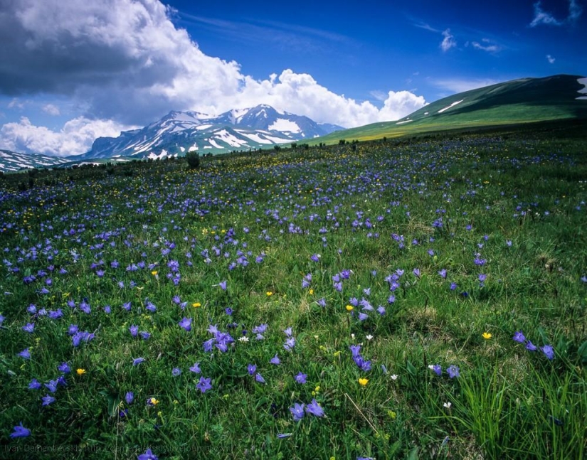 Beautiful film landscapes by Ivan Dementievsky Beautiful film landscapes by Ivan Dementievsky