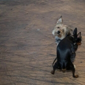 Beauty In Simplicity: 10 Beautiful Photos By Dimitris Makrygiannakis That May Resonate With You