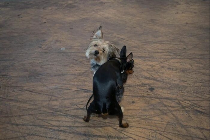 Beauty In Simplicity: 10 Beautiful Photos By Dimitris Makrygiannakis That May Resonate With You