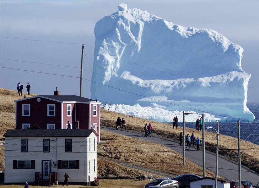 Because of a huge iceberg, kilometer-long traffic jams are gathering in a Canadian village