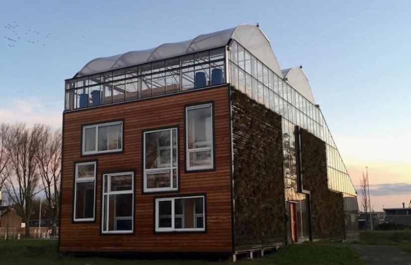 Beds between rooms: the family settled in a greenhouse house for three years