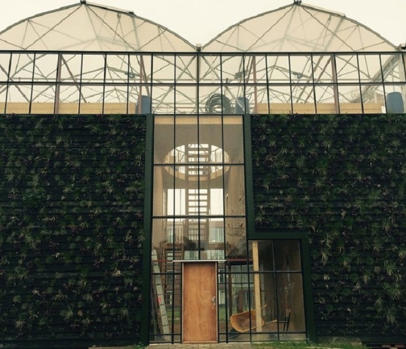 Beds between rooms: the family settled in a greenhouse house for three years