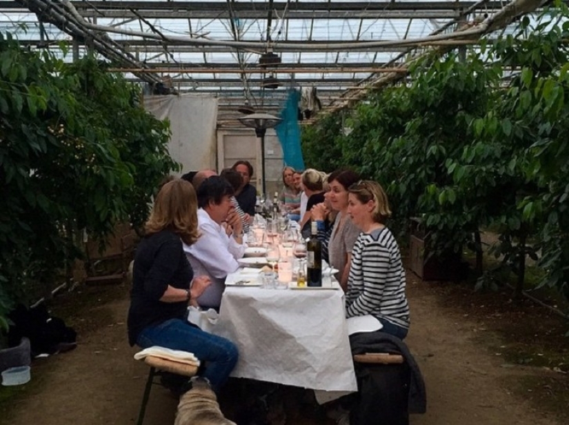 Beds between rooms: the family settled in a greenhouse house for three years