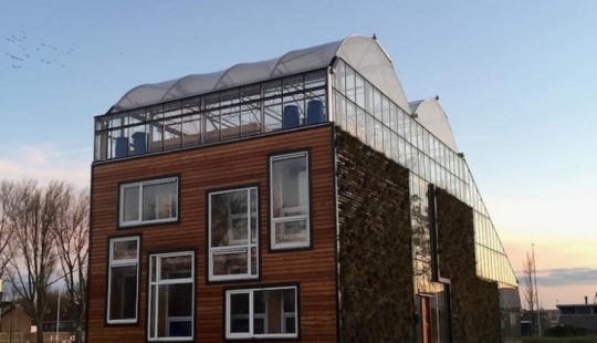 Beds between rooms: the family settled in a greenhouse house for three years Beds between rooms: the family settled in a greenhouse house for three years