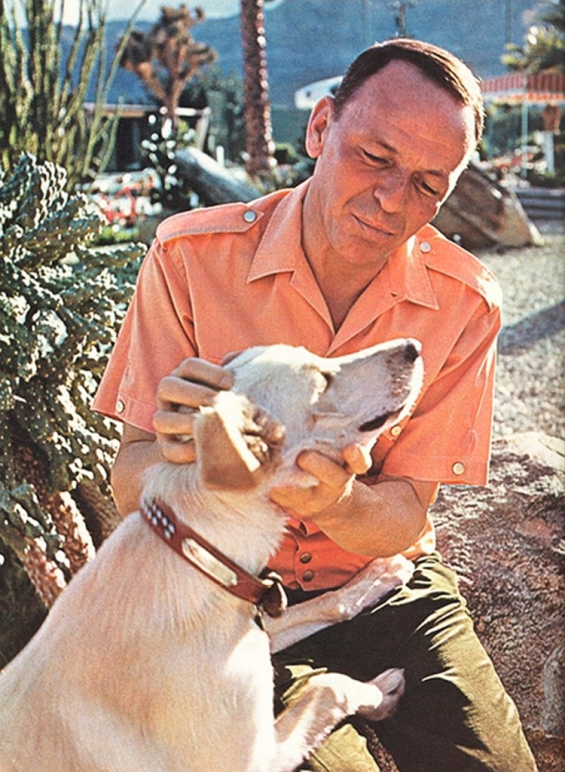 Behind every great man is a great dog Behind every great man is a great dog