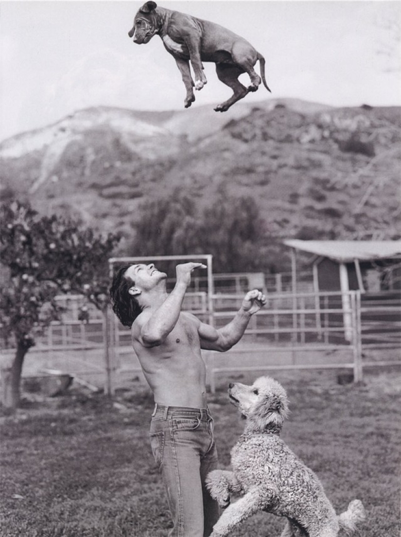 Behind every great man is a great dog Behind every great man is a great dog