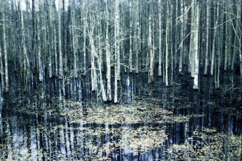 Belgian photographer Lara Gasparatto: getting to the bottom of things and events