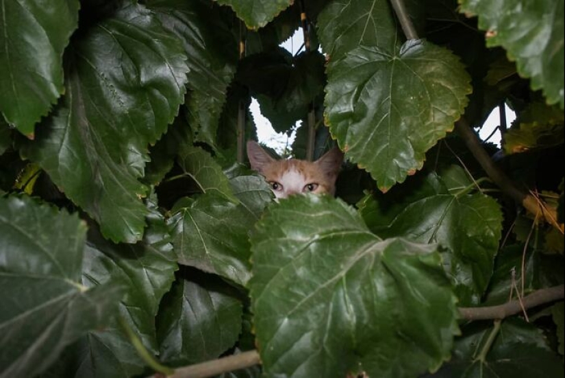 Belleza en la simplicidad: 10 hermosas fotografías de Dimitris Makrygiannakis que pueden resonar contigo