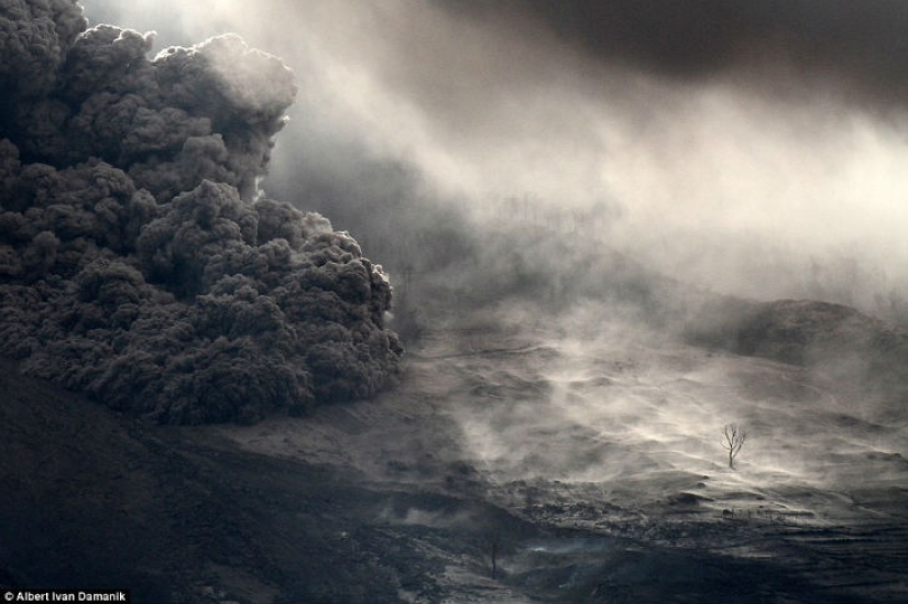 Best entries from the Smithsonian Photo Contest Best entries from the Smithsonian Photo Contest