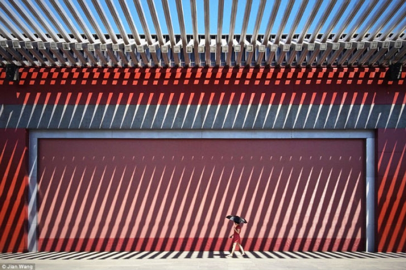 Best entries from the Smithsonian Photo Contest Best entries from the Smithsonian Photo Contest