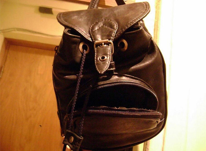 Best Vizhulitsa Photos of 2013