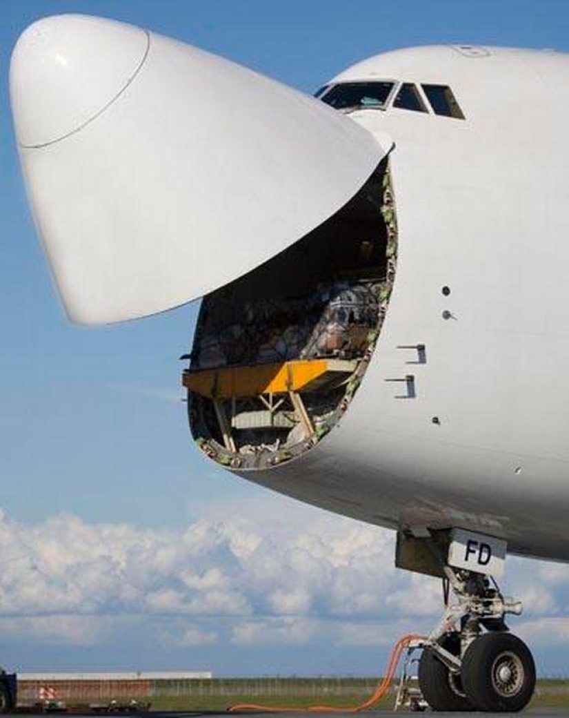 Best Vizhulitsa Photos of 2013