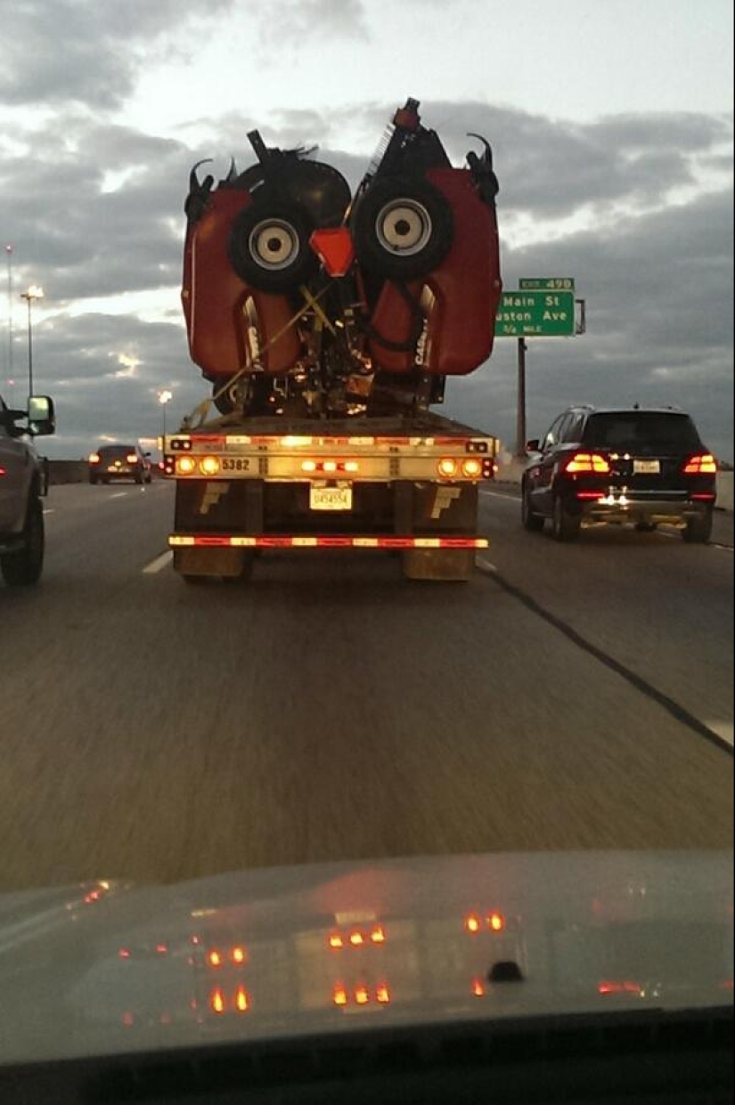 Best Vizhulitsa Photos of 2013