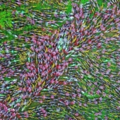 Bicycle Cemetery: what led to bike sharing in China