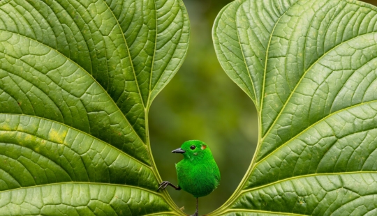 Bird Photographer Of The Year 2023 Unveils Winged Wonders (Part2) Bird Photographer Of The Year 2023 Unveils Winged Wonders (Part2)