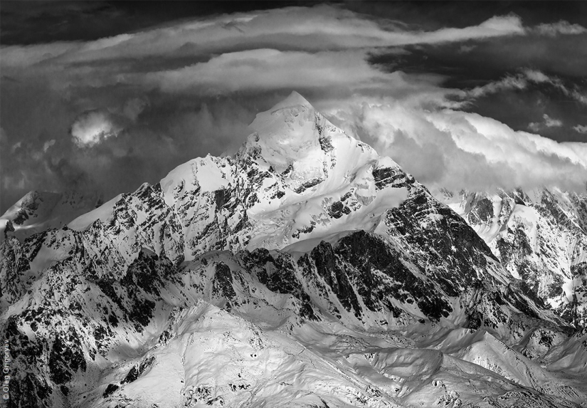 Black and white masterpieces by Alina Tarabarinova Black and white masterpieces by Alina Tarabarinova