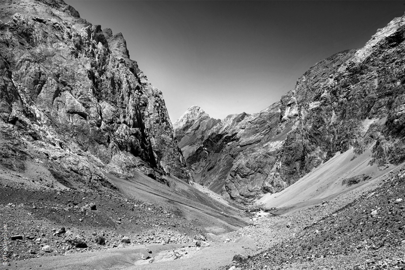 Black and white masterpieces by Alina Tarabarinova Black and white masterpieces by Alina Tarabarinova