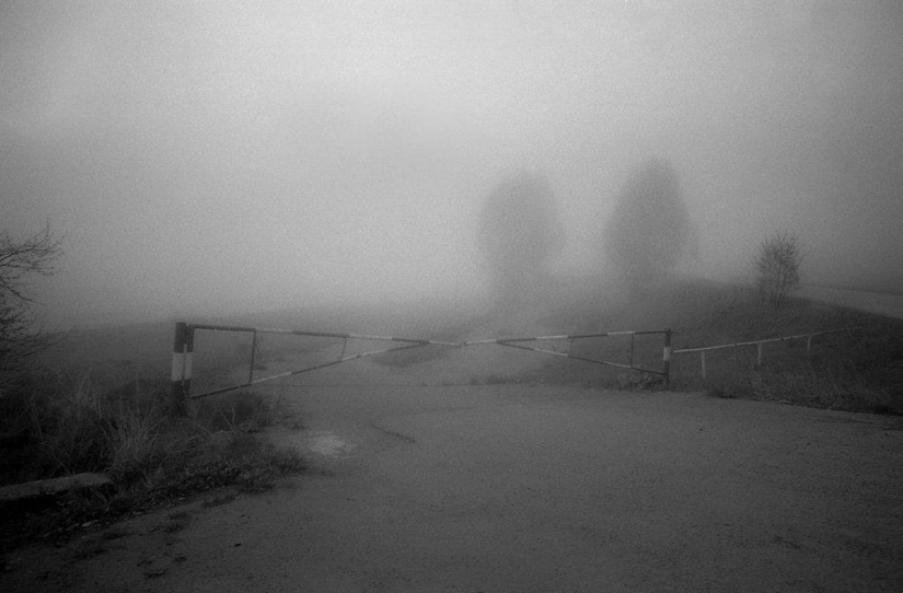 Black and white masterpieces by Alina Tarabarinova Black and white masterpieces by Alina Tarabarinova