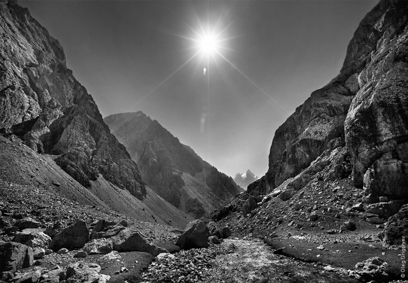 Black and white masterpieces by Alina Tarabarinova Black and white masterpieces by Alina Tarabarinova