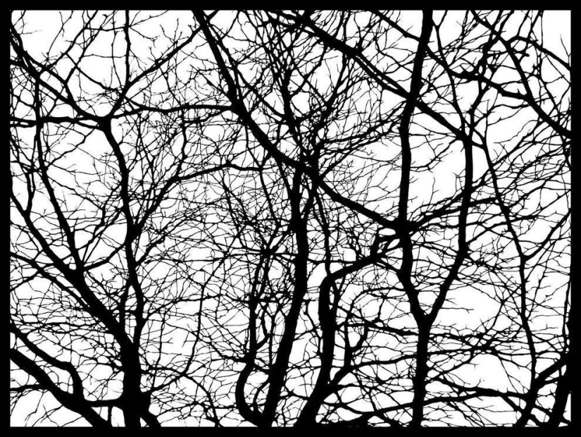 Black Clippings by Joe Bagley