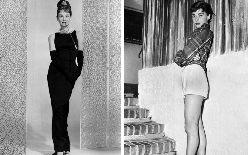 Black Panther: 10 most beautiful brunettes in history and modernity