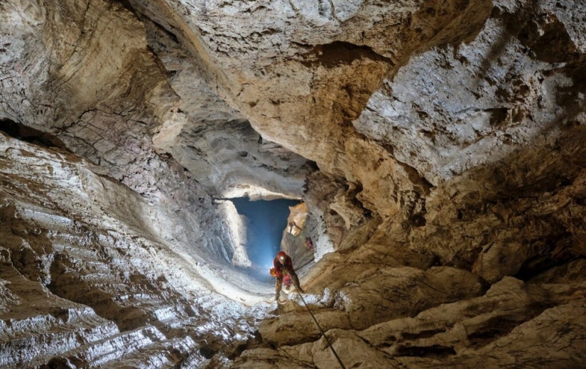 Blind beetle named after Hitler became a victim of neo-Nazis