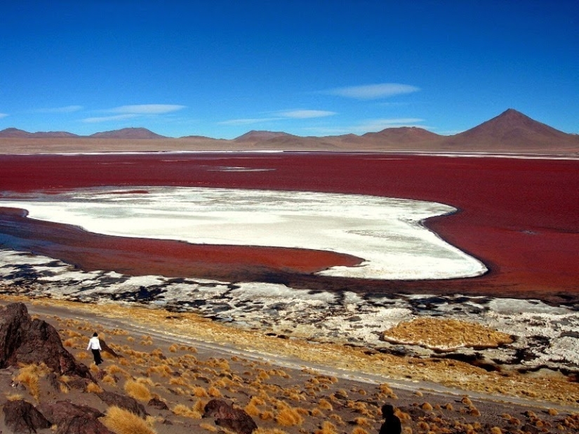 Bloody Lagoon in Bolivia Bloody Lagoon in Bolivia