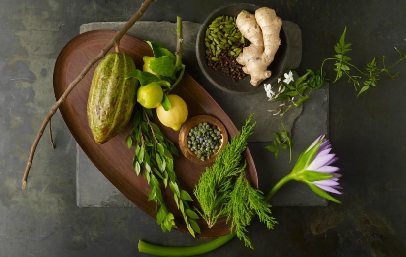 Bodegón sabroso de Beth Galton