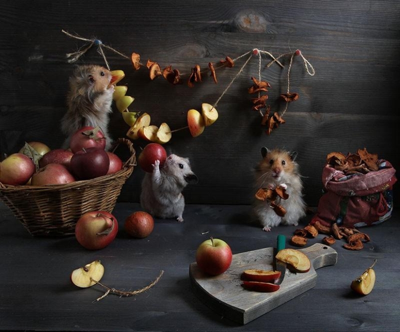 Bodegones con hamsters Bodegones con hamsters
