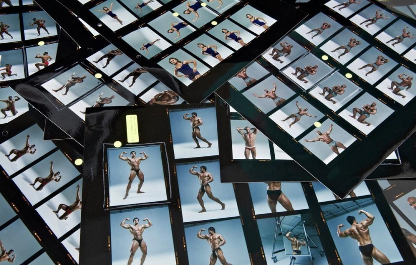 "Bodybuilders" by Dean Chalkley "Bodybuilders" by Dean Chalkley