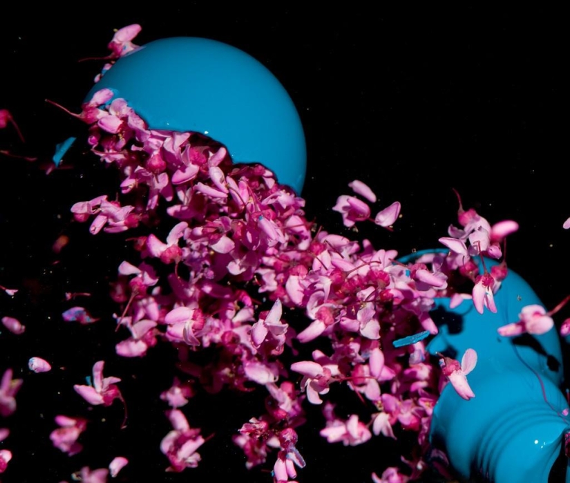 "Bombillas explosivas como sedante": una receta de John Smith "Bombillas explosivas como sedante": una receta de John Smith