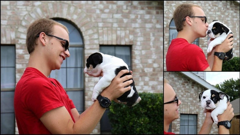 Bonsai - un perro que no tiene intención de darse por vencido