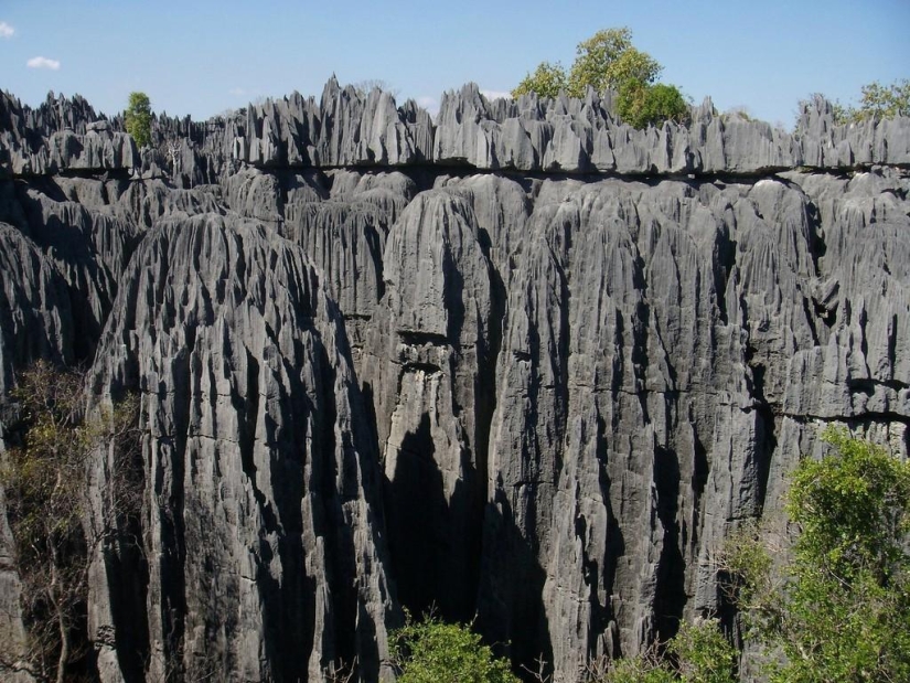 Bosque de piedra en Madagascar
