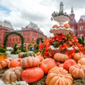 Both fish and meat! Gastronomic festival in Moscow!