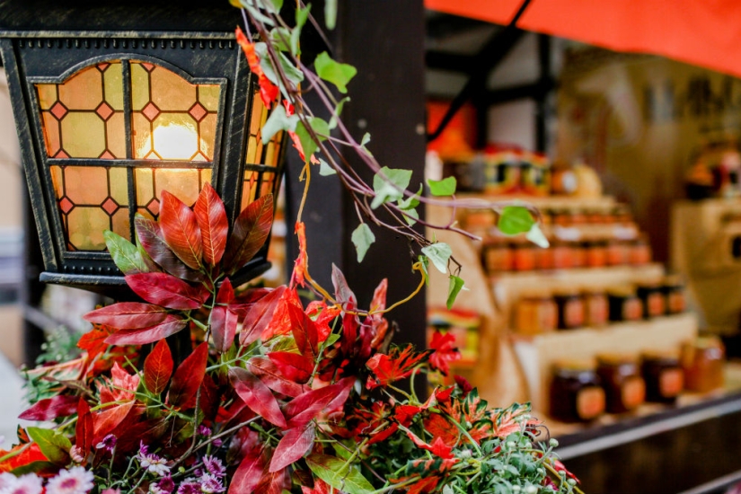 Both fish and meat! Gastronomic festival in Moscow! Both fish and meat! Gastronomic festival in Moscow!