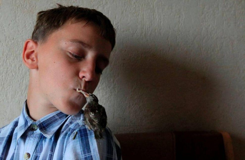 boy and sparrow