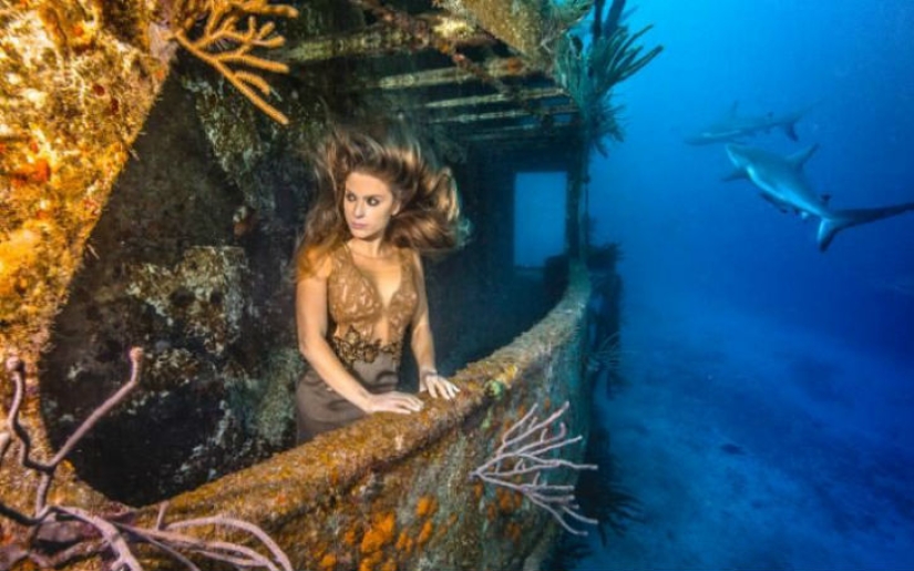 Brazilian model takes a dip in the water with sharks to protect marine predators