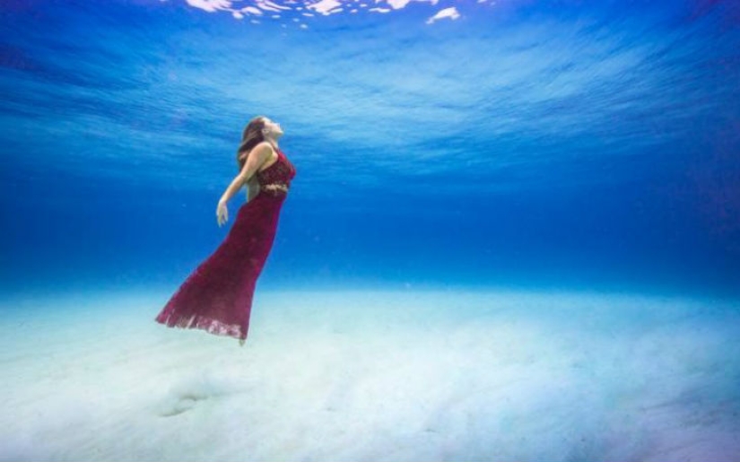 Brazilian model takes a dip in the water with sharks to protect marine predators