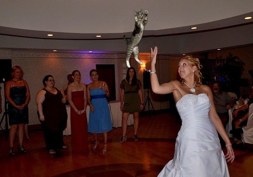 Brides leaving ... cats!