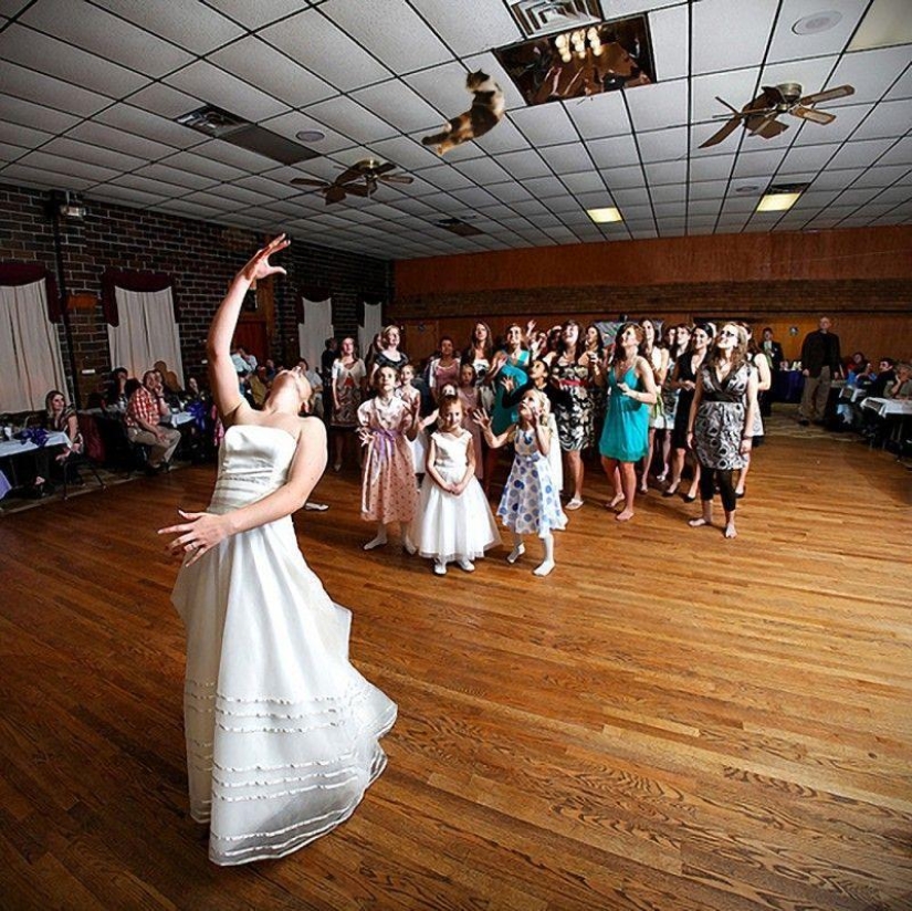 Brides leaving ... cats!