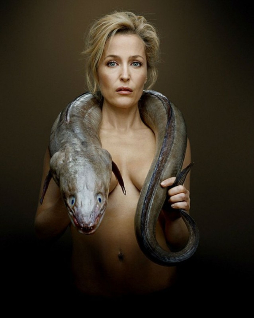 British celebrities undress in defense of the herring