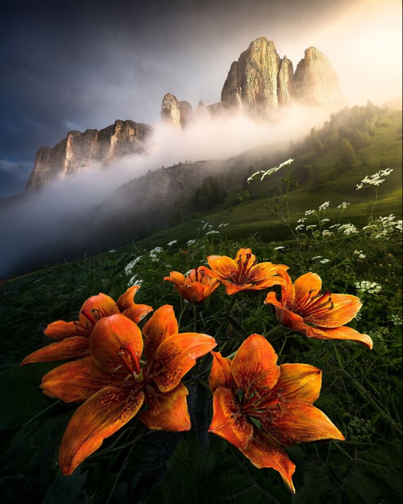 Budapest International Photo Awards 2023: 10 Winning Images That Take Us Into The Beautiful World Of Nature