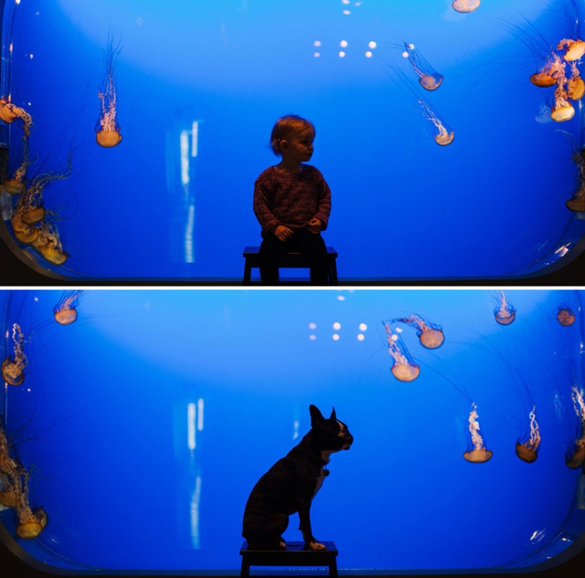 Bueno, una pareja muy dulce en un divertido proyecto fotográfico familiar de Jesse Holland. Bueno, una pareja muy dulce en un divertido proyecto fotográfico familiar de Jesse Holland.