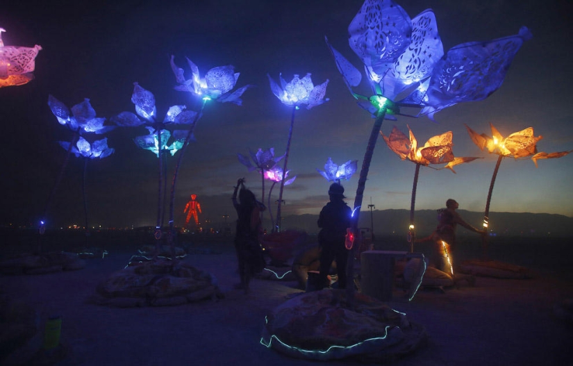 Burning Man Festival - 2014 in Nevada