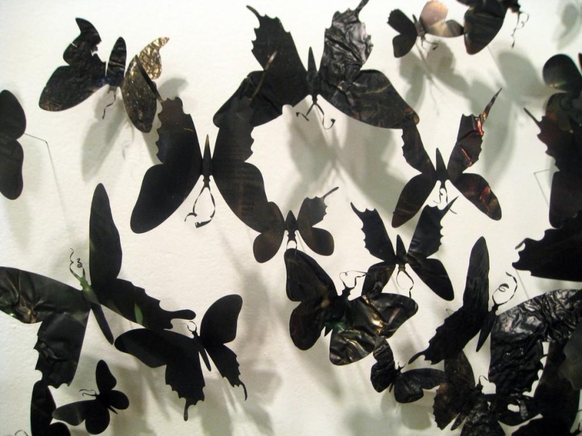 Butterflies as art Butterflies as art