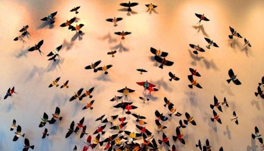 Butterflies as art Butterflies as art