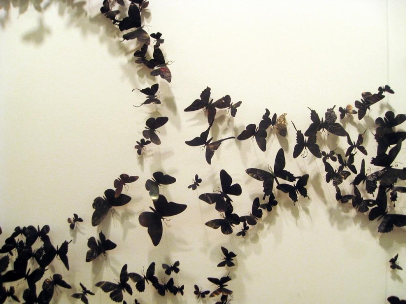 Butterflies as art Butterflies as art