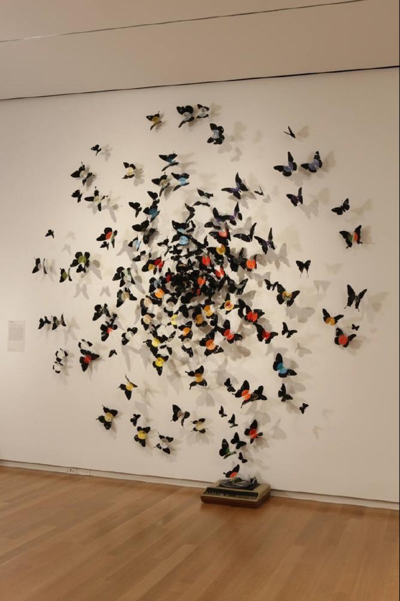 Butterflies as art Butterflies as art