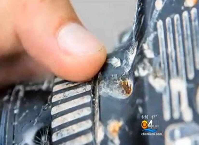 Camera eaten by alligator returned to owner after 8 months Camera eaten by alligator returned to owner after 8 months