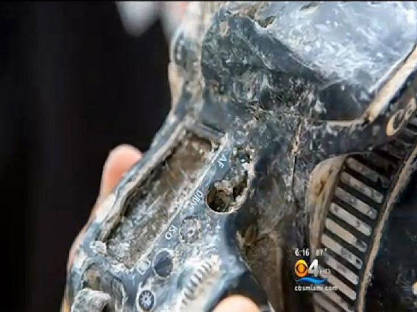 Camera eaten by alligator returned to owner after 8 months Camera eaten by alligator returned to owner after 8 months